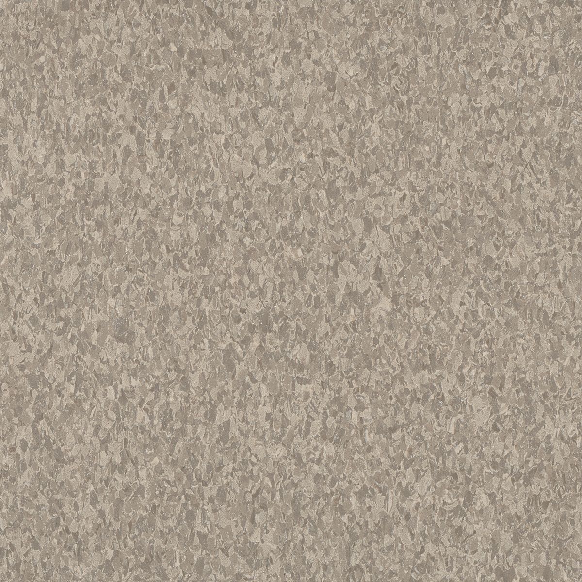 Linseed 5C236 (VCT)