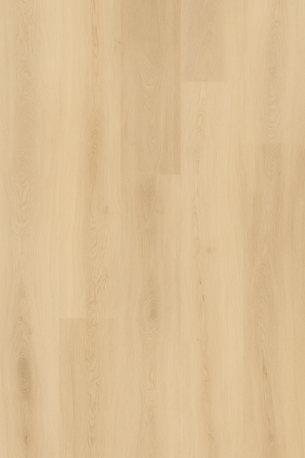 Balanced Oak