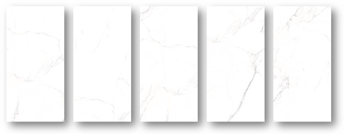 Palatina White Polished 24"x48"