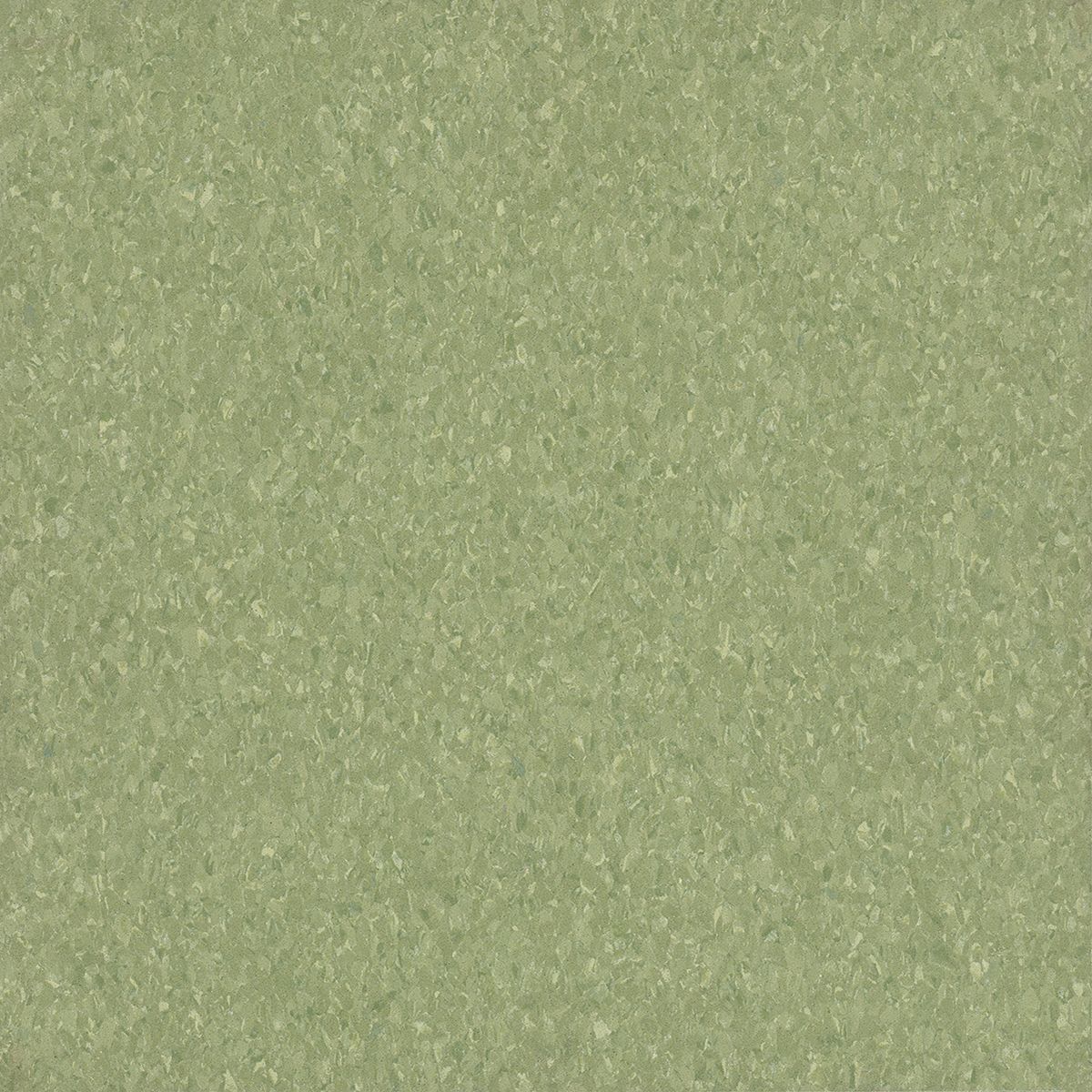 Little Green Apple: 5C866 (VCT)