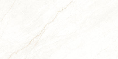 Atenea Series – Marble Look Porcelain Tile (24"x48" & 48"x48")