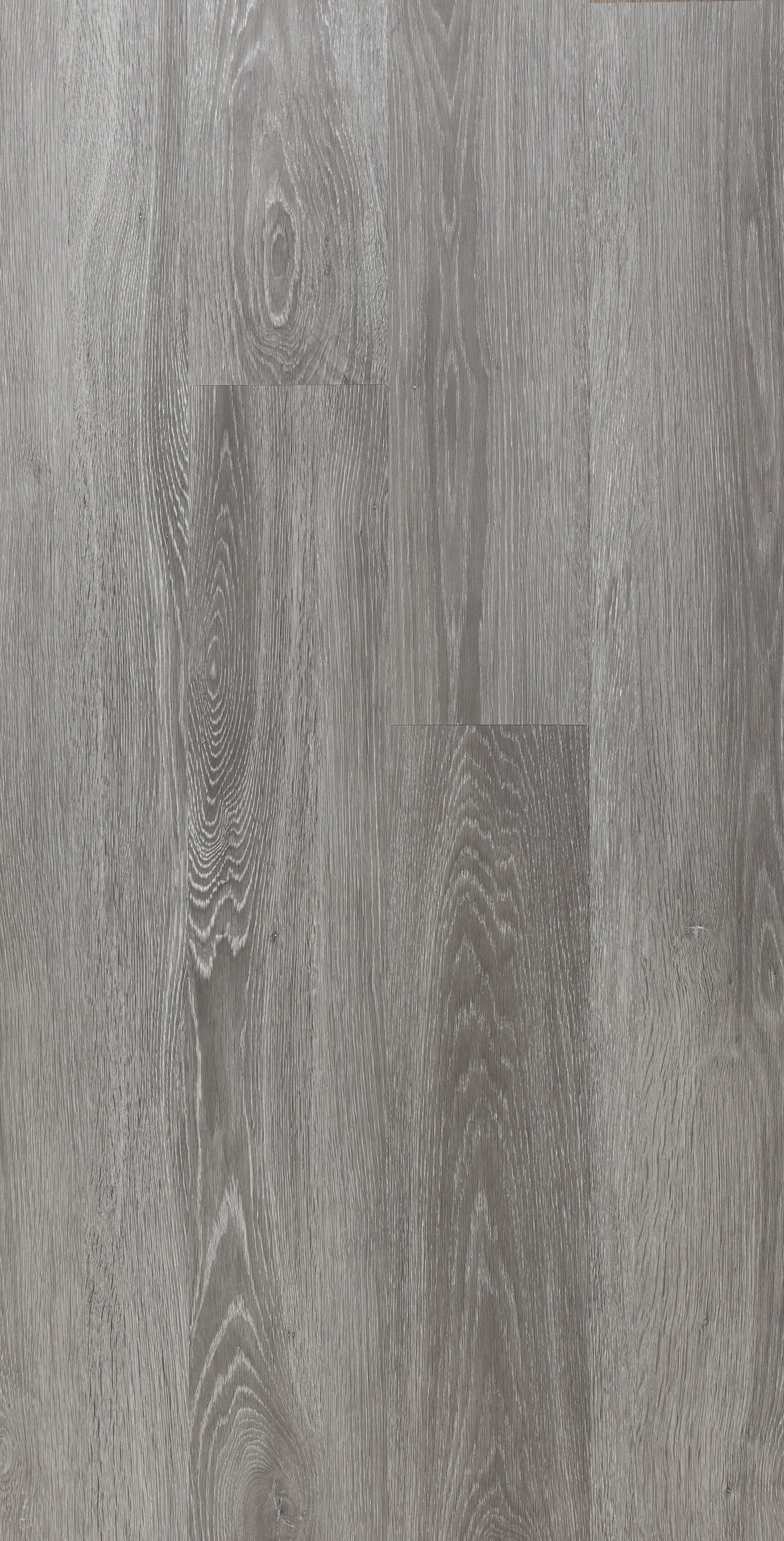 COASTAL GRAY LVP Floors