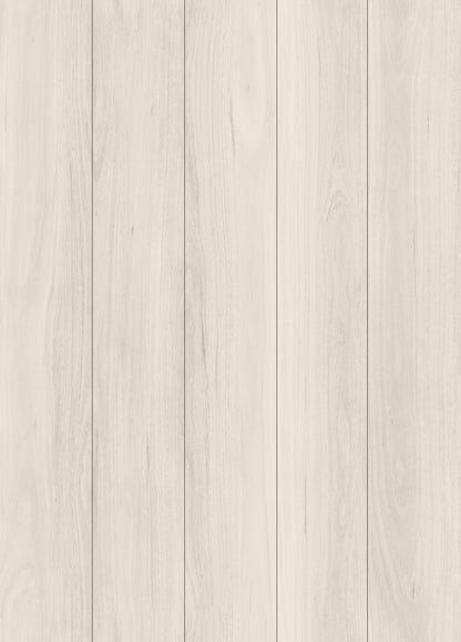 LIGHT SAND LVP Floor