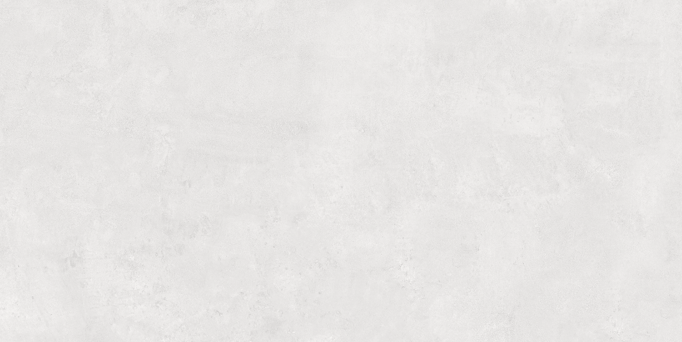 Blanco Neutral Matte Porcelain Tile - 24"x48"