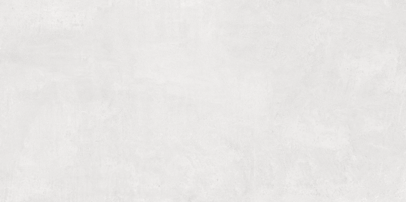 Blanco Neutral Matte Porcelain Tile - 24"x48"