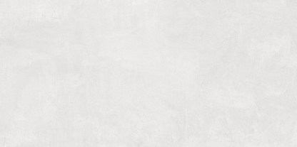 Blanco Neutral Matte Porcelain Tile - 24"x48"
