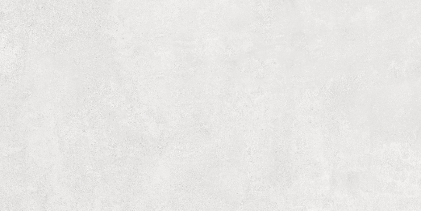 Blanco Neutral Matte Porcelain Tile - 24"x48"