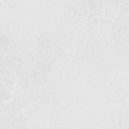 Norwich White