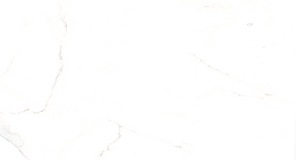 Palatina White Polished 24"x48"