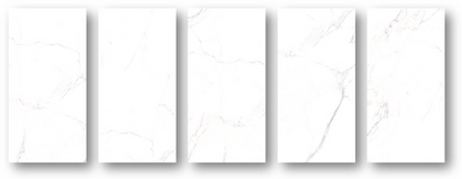 Palatina White Polished 24"x48"