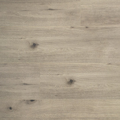 ORBIT OAK Laminate